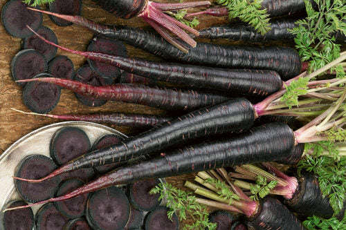 Black Nebula Carrots - Heirloom Vegetable - Daucus carrota - 25 Seeds