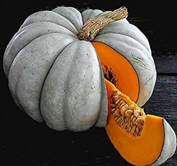 JarrahdalePumpkin - Heirloom Vegetable - Cucurbita maxima - 5 Seeds