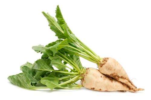Sugar Beet  - Heirloom Vegetable - Beta vulgaris - 50 Seeds