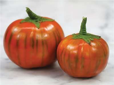 Turkish OrangeEggplant - Heirloom Vegetable - Solanum melongena - 10 Seeds