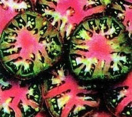 Black Seaman Tomato Vegetable - Lycopersicon Esculentum - 10 Seeds - ORGANIC