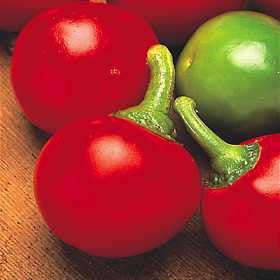 Cherry Bomb Pepper - Capsicum Annuum - Chilli Pepper - 30 Seeds