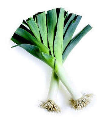 American Flag Leek - ORGANIC - Heirloom Vegetable - 100 Seeds