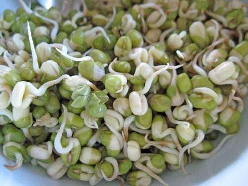 Mung Beans - ORGANIC - Sprouting Seeds - 200gms