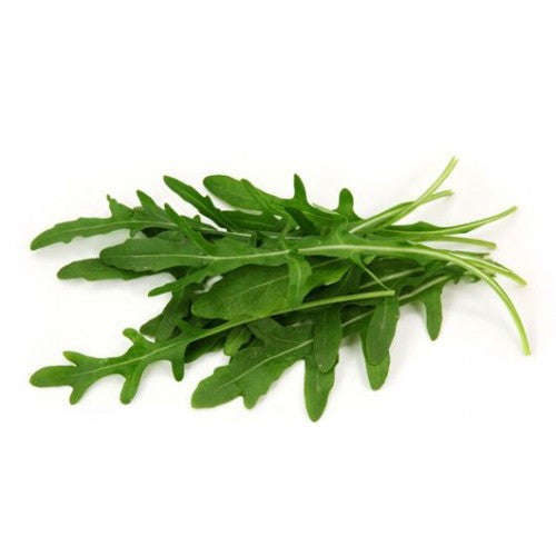 Rocket / Arugula - Bulk Herb Seeds - 200 grams
