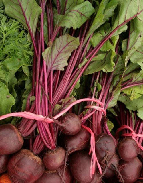 Green Top Bunching Beetroot - ORGANIC - Heirloom Vegetable - 50 Seeds