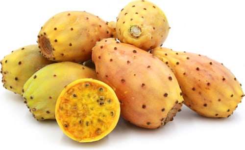 Prickly Pear - Opuntia ssp - Organic Heirloom Fruit - 5 seeds