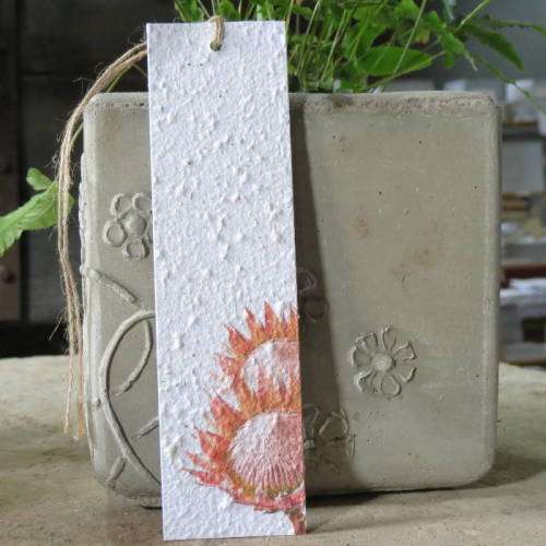 Growing Paper - Bookmark - Proteas - Flowers