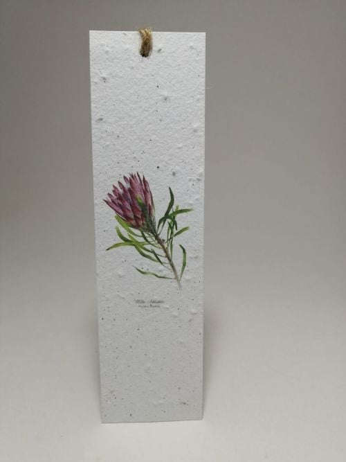 Growing Paper - Bookmark - Protea - Flowers
