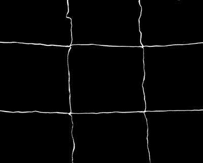 1.5m x 4.5m Trellis Netting (5' x 15') - Hydroponic Growing Accessories