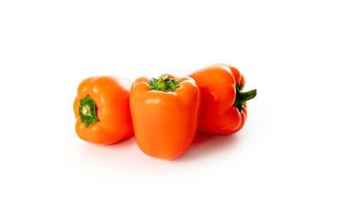 Tinkerbell baby block sweet pepper orange F1  - Vegetable - Capsicum annuum - 5 Seeds