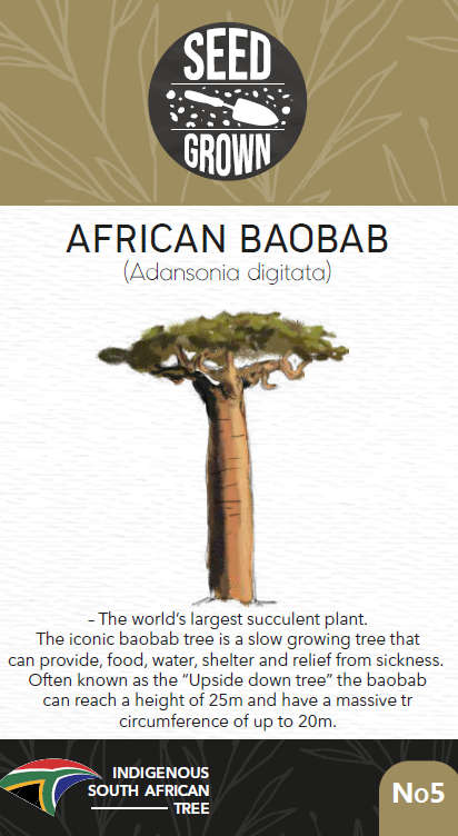 Seed Grown Kit No.5 - African Baobab - Adansonia digitata - Complete Tree Growing Kit