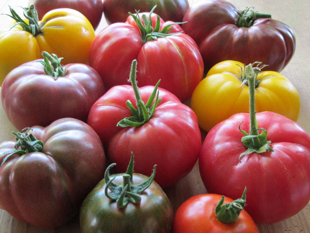 Tomato Collectors Pack - 12 Varieties - 220 Fresh Seeds - Incl Heirloom, Open Pollinated & Organic