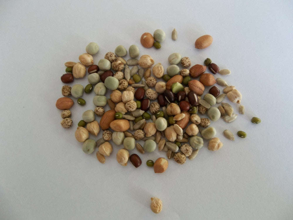 Chunky Salad Mix - Sprouting Seeds - 100 gram