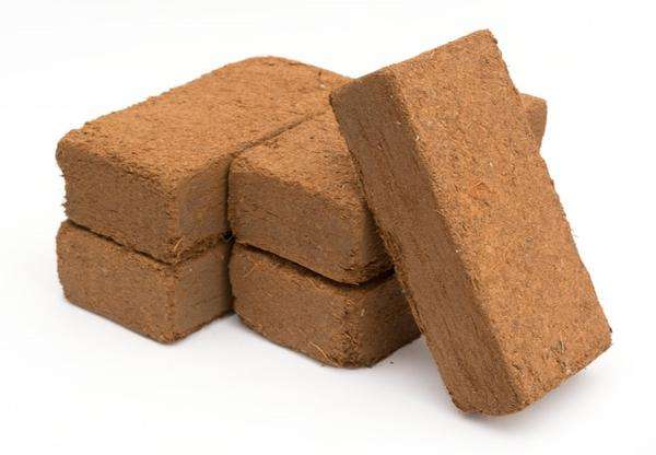 Coco Peat / Coir - 600g Compressed Bricks