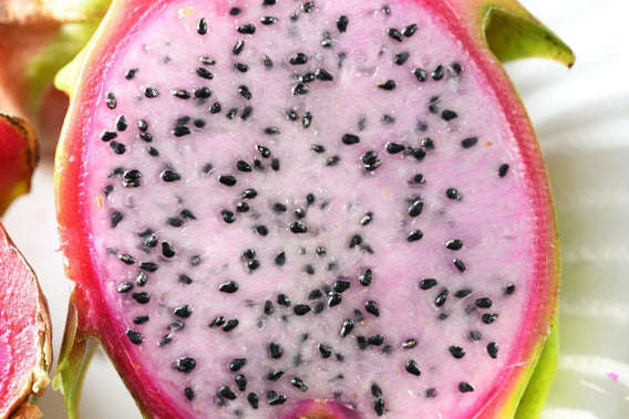 White Flesh / Red Skin Dragon Fruit / Pitaya "Delight" -Hylocereus guatemalensis & Hylocereus und...