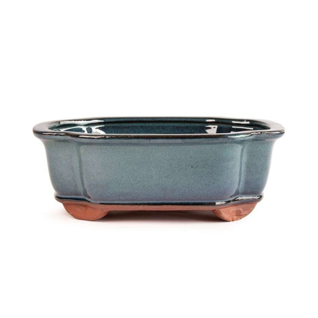 Glazed 25cm x 20cm x 8cm Bonsai Container - Moss  Blue-Green