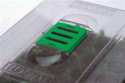 ROOT!T 24 cell Propagator 36cm x 23.5cm x 17.5cm - Seed Starting