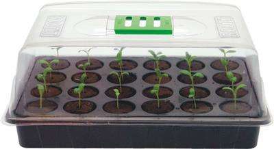 ROOT!T 24 cell Propagator 36cm x 23.5cm x 17.5cm - Seed Starting
