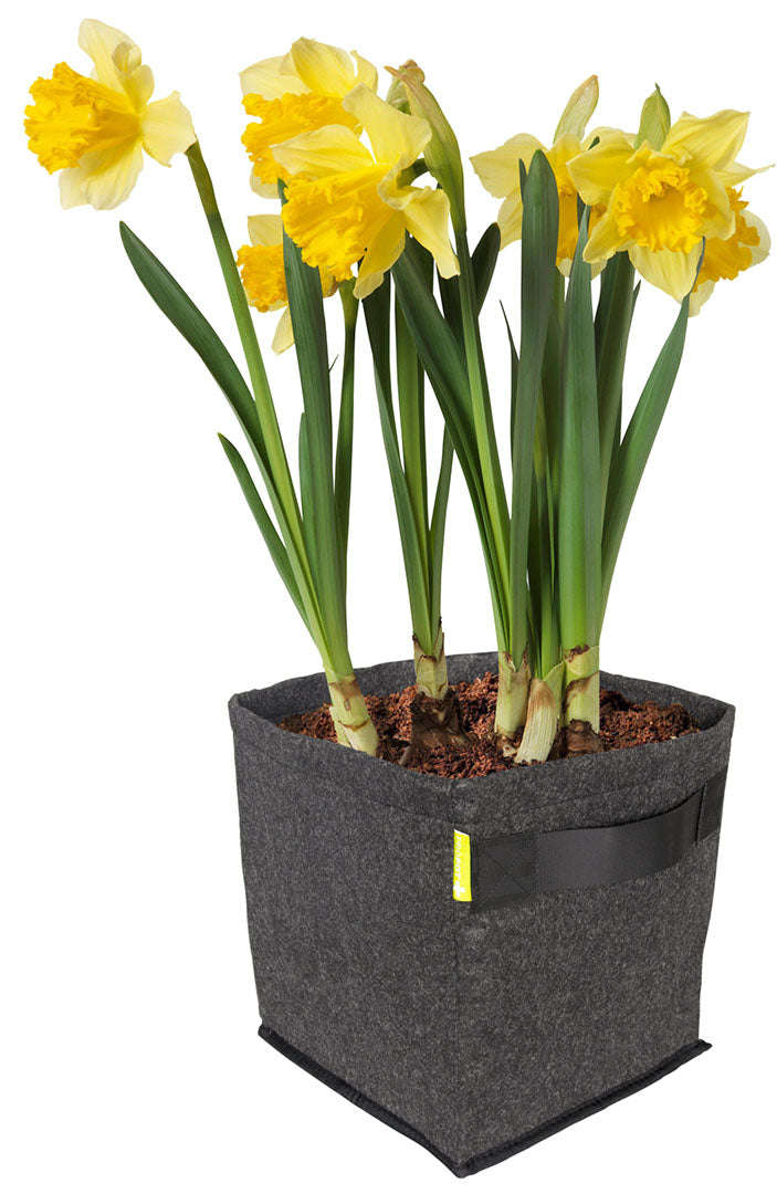 Garden HighPro Geotextile Fabric Grow Bag / Pots with handles - 20.0L