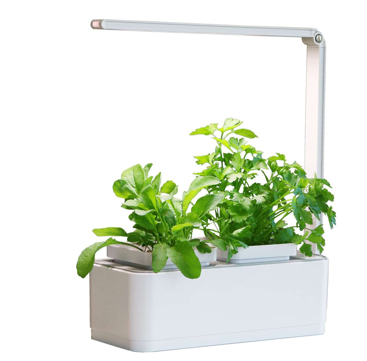 Microgarden Hydroponic Herb Garden