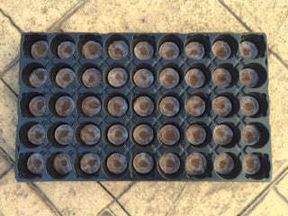 Jiffy Professional Grow... - Jiffy Professional Growing Tray - 45 Cell for Medium Seeds with Pellets