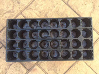 Jiffy Professional Growi... - Jiffy Professional Growing Tray - 32 Cell for Large Seeds with Pellets