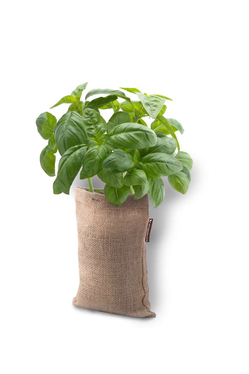 Microgarden Grow Bag, Growing Substrate and Basil herb seeds