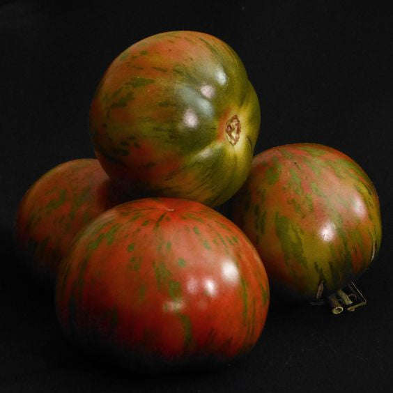 Pink Boar Tomato Heirloom Vegetable - Lycopersicon Esculentum - 10 Seeds - ORGANIC