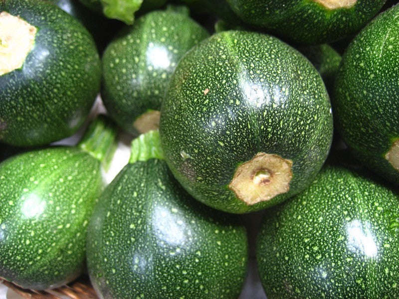 Round Zucchini - Bulk Vegetable Seeds - 50 grams