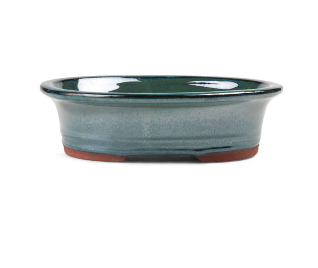 20cm x 17cm x 6cm - Glazed Bonsai Container - Dark  Moss Green