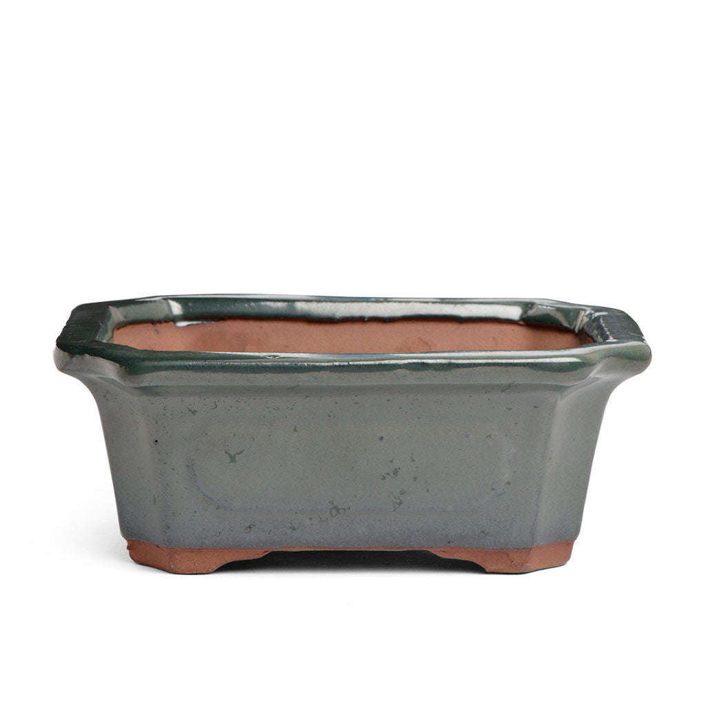 Glazed 16cm x 14cm x 7cm Bonsai Container - Dark Moss Green