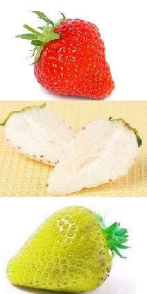 Kaleidoscopic - Red, Yellow & White Strawberry - Fragaria Varieties - 15 Seeds - RARE