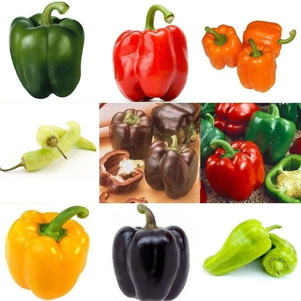 Sweet Pepper Rainbow Seeds - 9 Varieties