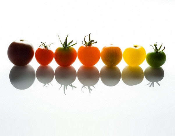 Organic Multicolour Cherry Tomato Pack - 10 Varieties