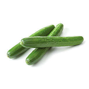 English Cucumber - Trimax F1 Hybrid - Cucumis Sativus - 3 Seeds