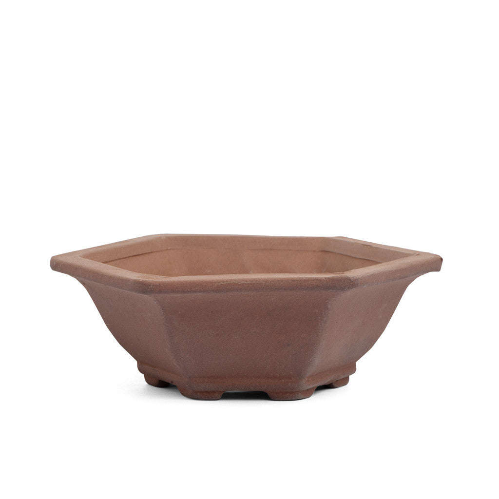Unglazed 12.5cm x 12.5cm x 5cm Hexagonal Bonsai Container / Pot