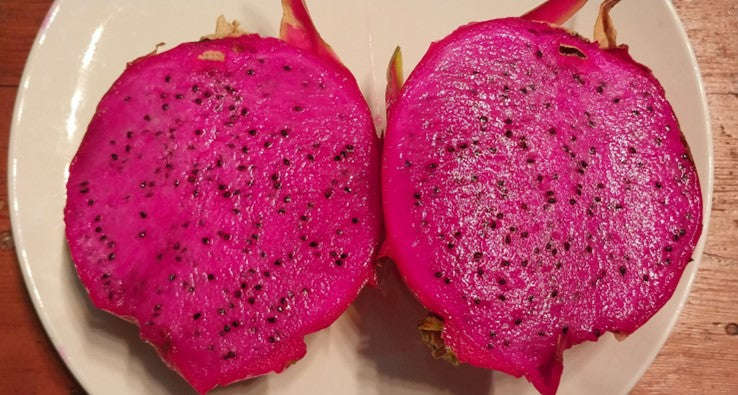 Dragon Fruit / Pitaya / Cosmic Charlie  Hylocereus guatemalensis / Hylocereus undatus hybrid - 1...