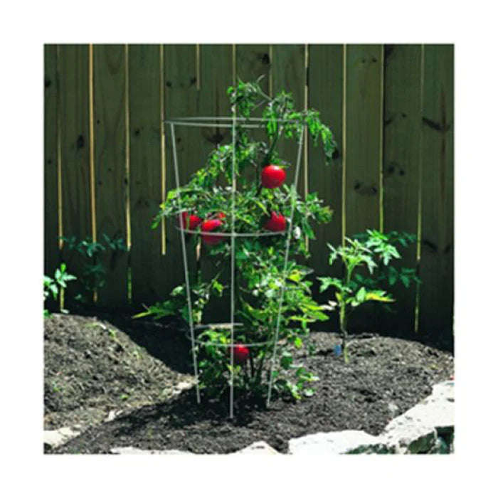 Plastic Flower Cages for plant support - Hydroponic Accessories / Plan... - 75cm Plastic Flower Cage