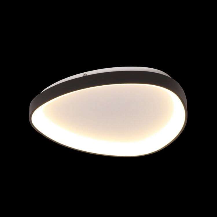 Emily Black / Metal LED Ceiling Light LED