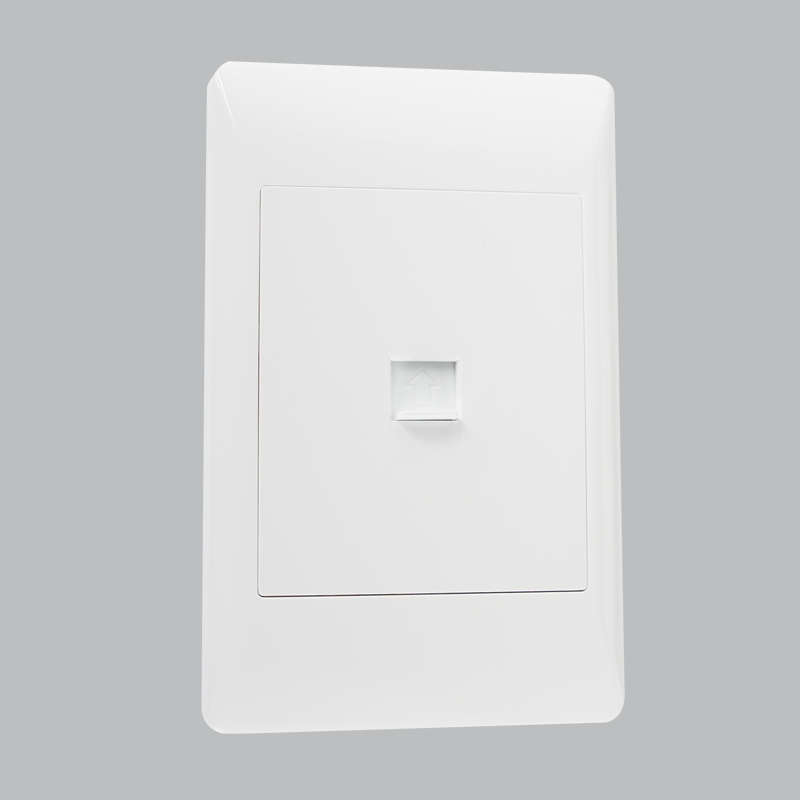 Data Point / Telephone Jack Socket - 2X4
