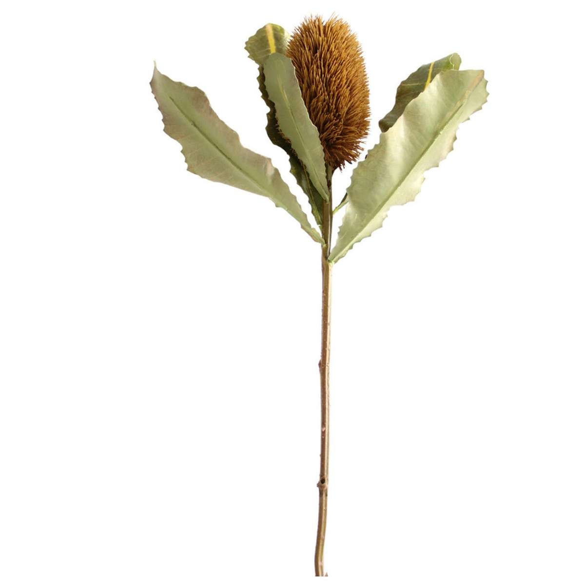 Artificial Plant - Macadamia