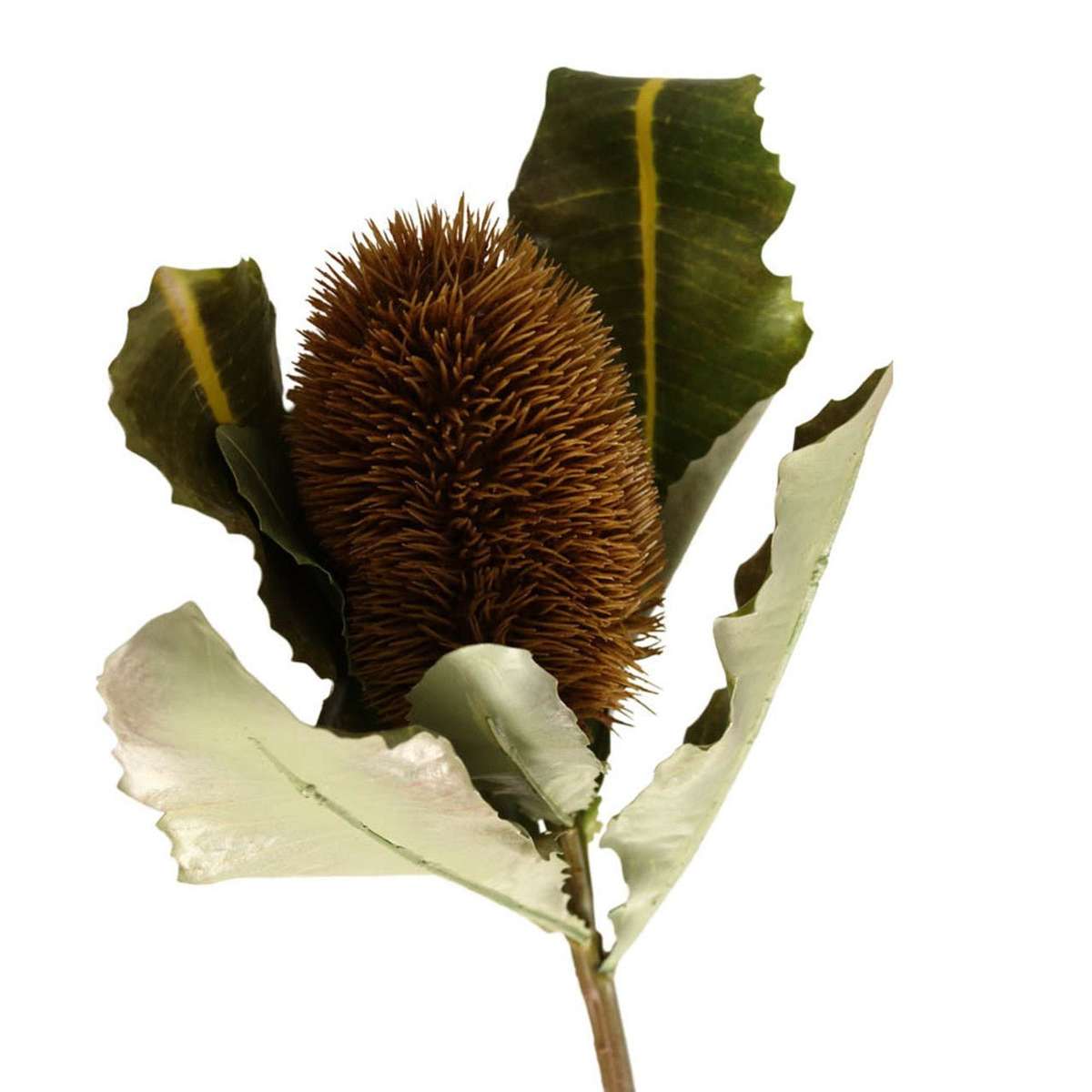 Artificial Plant - Macadamia