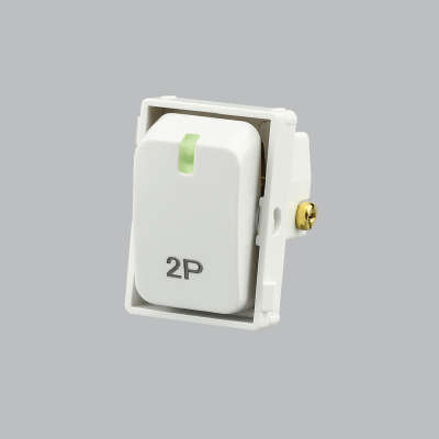 White Double Pole Isolator Module Switch