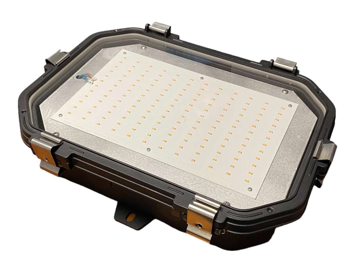 Titan Industrial LED Bulkhead - 5 Year