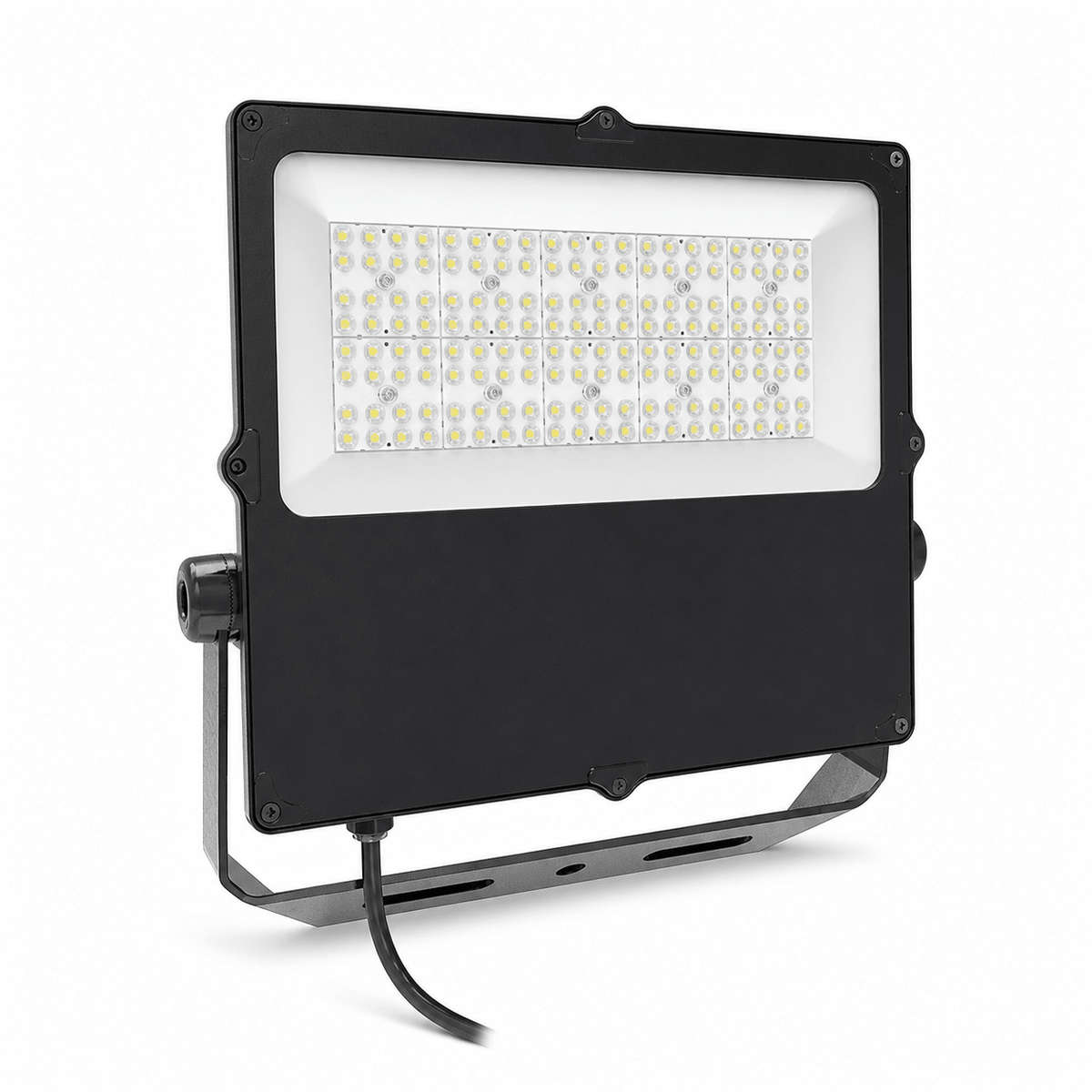 Thor 100W Coastal Floodlight - 5 Year - Daylight (6000K)