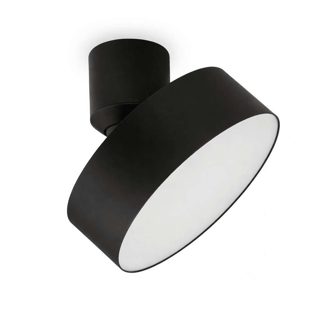 Time & Again Large Ceiling Spotlight