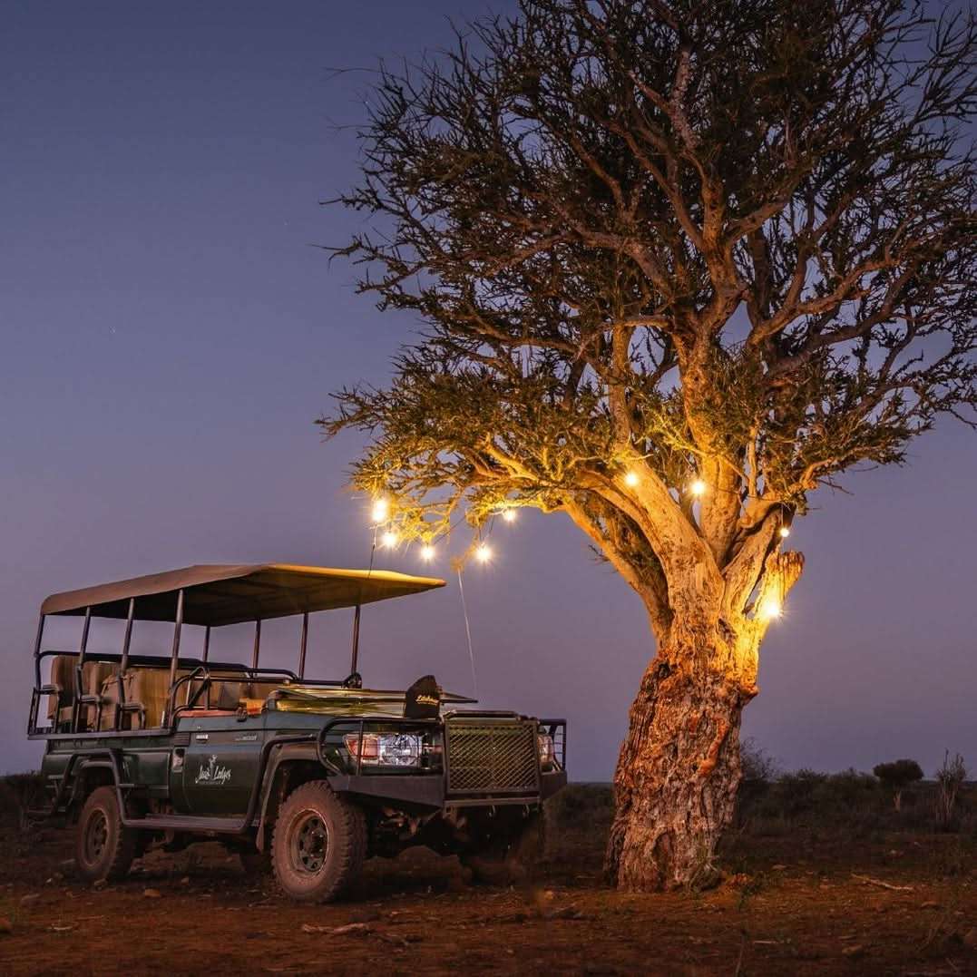 Solar Festoon Lights -10M / 15M