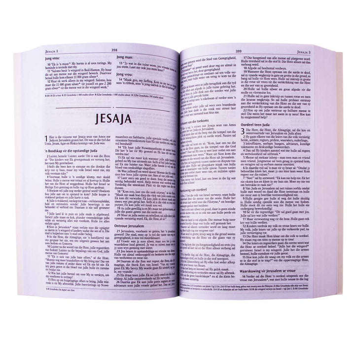 NLV Uitreikbybel Bruin met Blomme (Die Bybel)