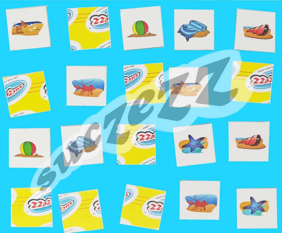 Memory Game/Geheue Spel (Boxed)